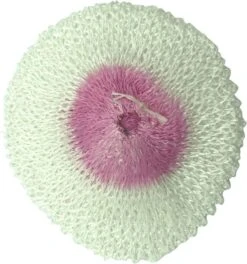 Easy Camp Shop -Easy Camp Shop 71y07qrscss. ac sl1500