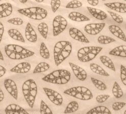 Robens Wolf Moon 5XP Tent Package -Easy Camp Shop robens carpet 1