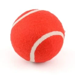 Powerplay Deluxe Size 3 Cricket Set -Easy Camp Shop se wue0q 1